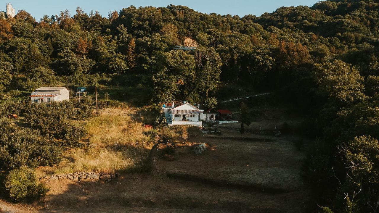 Little Holiday home *